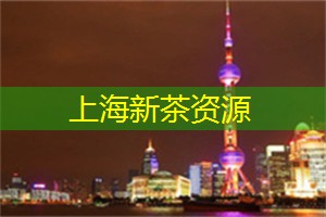 浓浓爱意！上海年轻男女最喜欢选择哪些独特的情侣纹身？