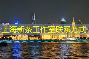 绿意盎然，百花争艳！探寻上海后花园的美丽时刻！