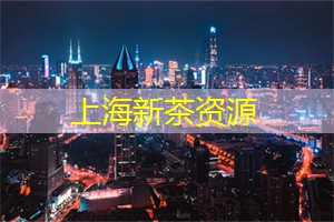 上海后花园魔法城堡落地生根，仿佛世界中的童话仙境！