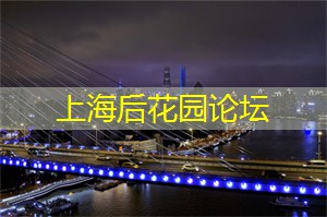 在与时光的交错中众取所需